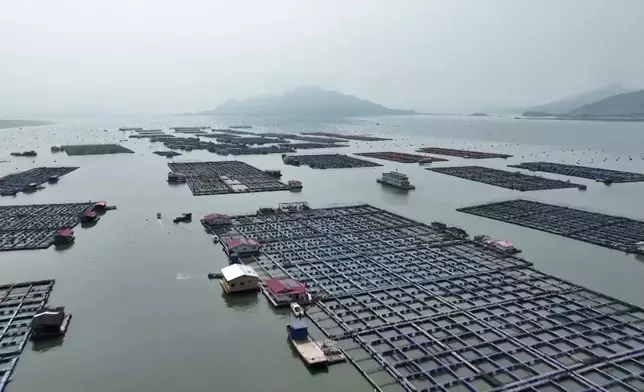 影片截圖 CGTN圖片