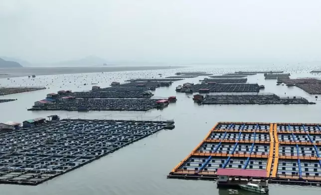 影片截圖 CGTN圖片