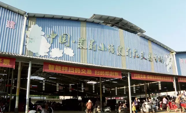 影片截圖 CGTN圖片