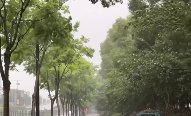 影片截圖 CGTN圖片