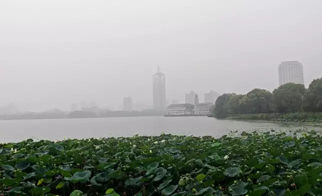 影片截圖 CGTN圖片
