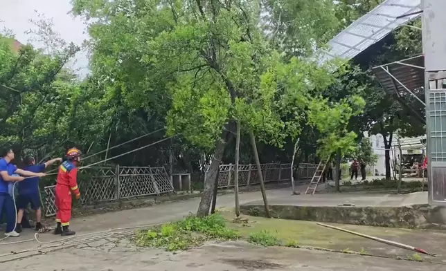 影片截圖 CGTN圖片