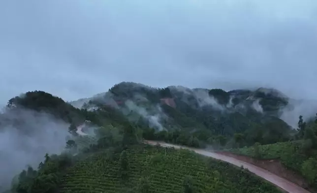 影片截圖 CGTN圖片