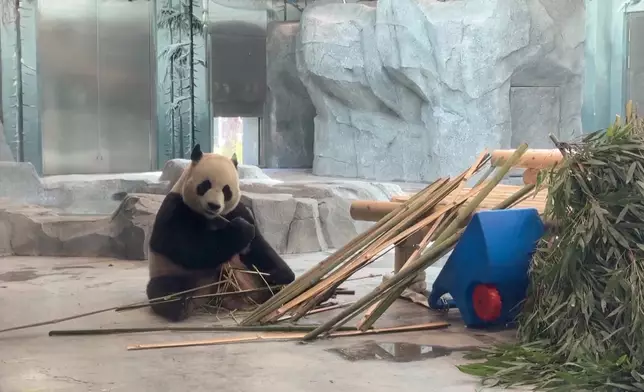 影片截圖 CGTN圖片