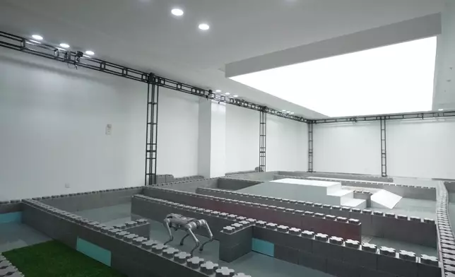 影片截圖 CGTN圖片