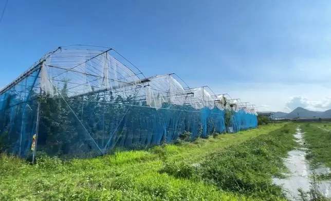 影片截圖 CGTN圖片