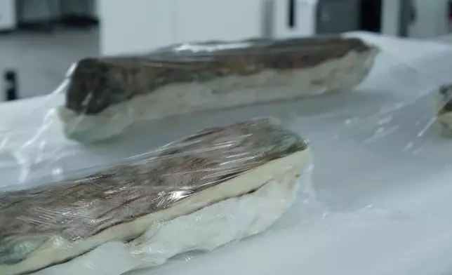 影片截圖 CGTN圖片