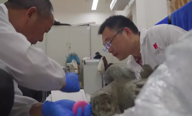 影片截圖 CGTN圖片