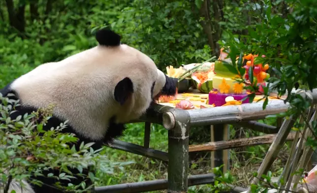 影片截圖 CGTN圖片