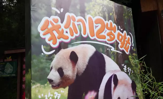 影片截圖 CGTN圖片