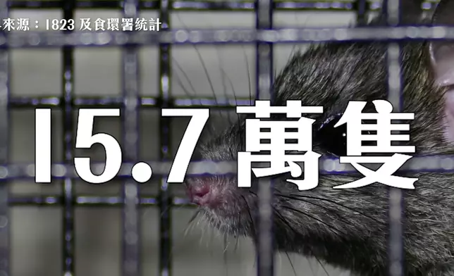 來源：巴士的AITV《香港大數據》