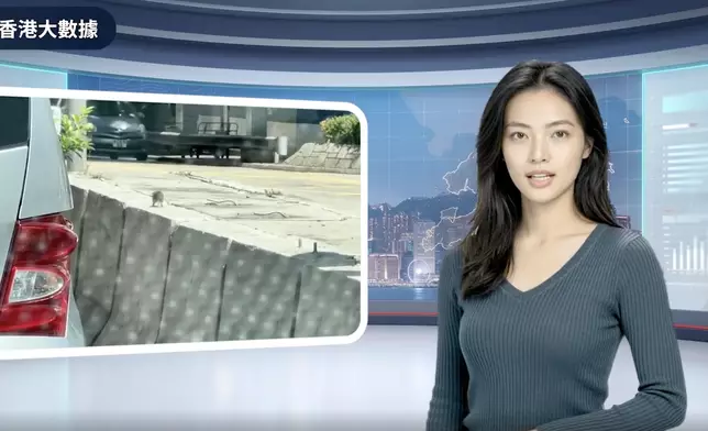 來源：巴士的AITV《香港大數據》
