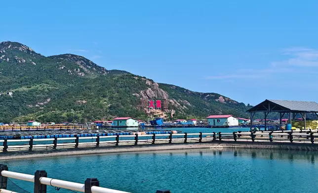 三都澳白基灣魚排。巴士的報記者攝