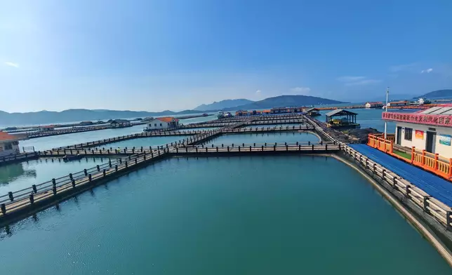 三都澳白基灣魚排。巴士的報記者攝