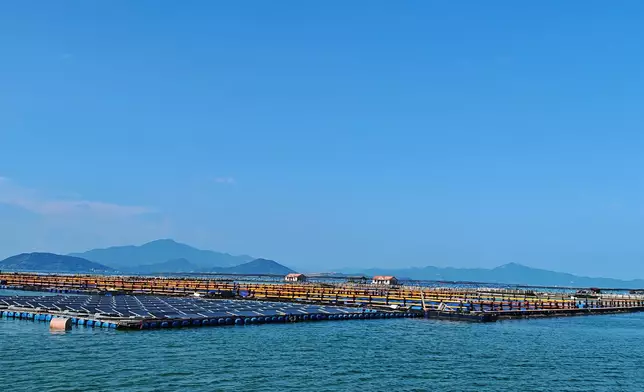 漂浮式光伏。巴士的報記者攝