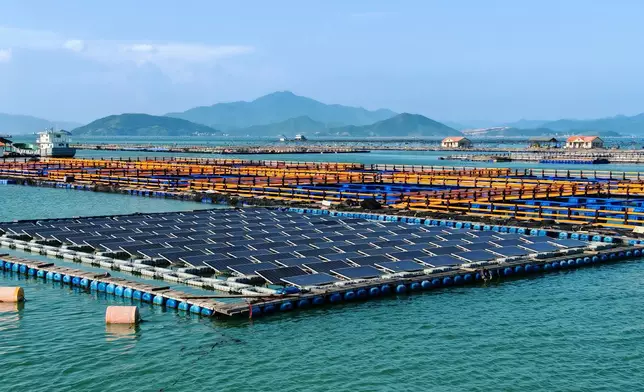漂浮式光伏。巴士的報記者攝