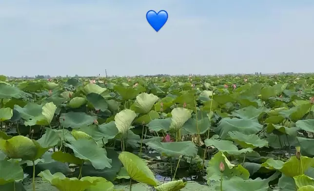 黃嘉雯IG圖片