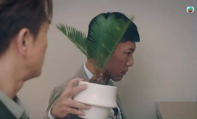呢場講馬明對住渣男綠茶，唔係睥爆就係無視勁好笑。