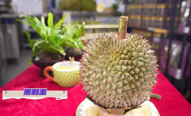 D168及貓山王都是榴槤極品。