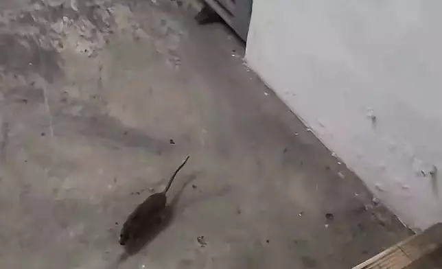 fb影片截圖