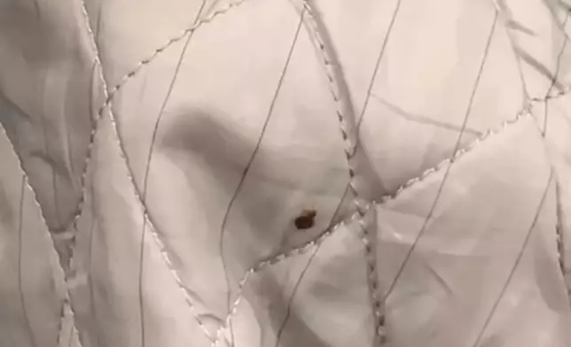 threads影片截圖