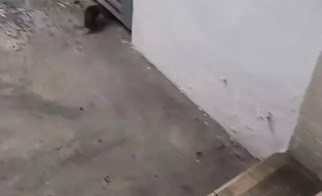 fb影片截圖