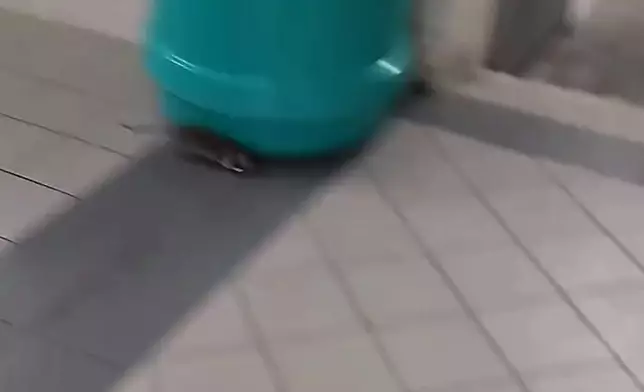 fb影片截圖
