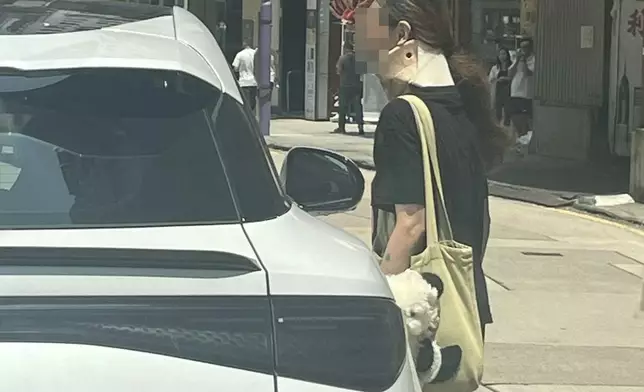網上圖片