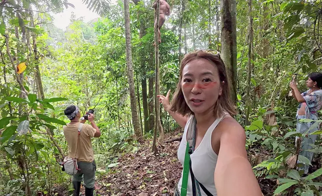 族人示範爬樹捕獵。