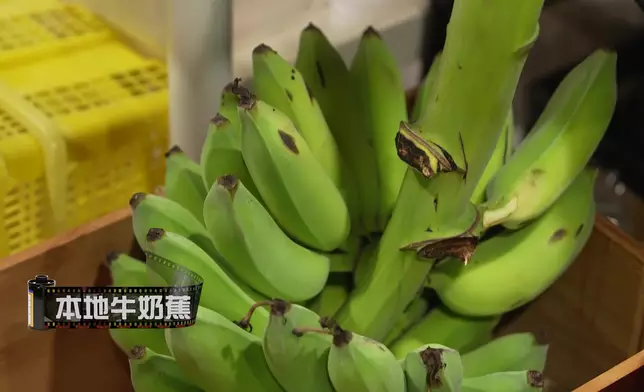 店內售賣「香港製造」的蔬果。