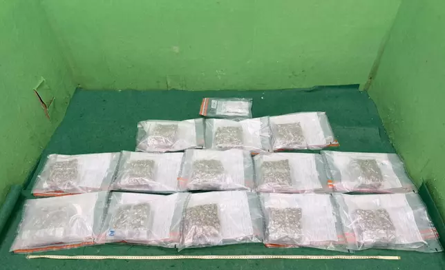 檢獲的懷疑大麻花。政府新聞處圖片