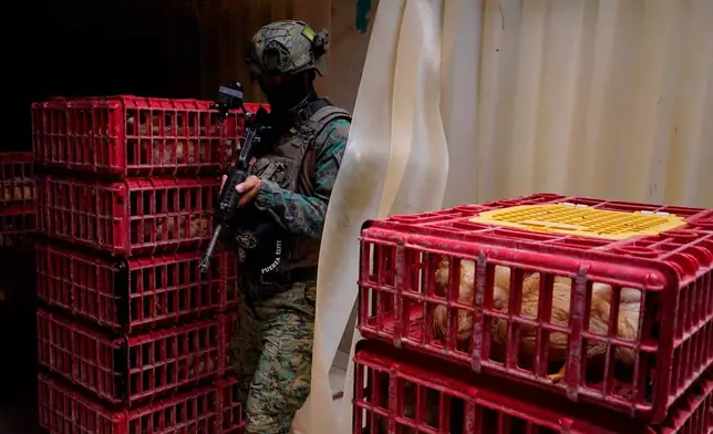 2026年8月26日周三，厄瓜多爾曼塔，一名厄瓜多爾士兵在一次地面行動中，站在一間家禽店內。軍警部隊持續在受有組織罪案影響的地區執行保安行動。(美聯社圖片/Cesar Munoz) AP圖片