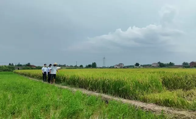影片截圖 CGTN圖片