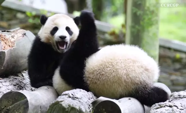 影片截圖 CGTN圖片