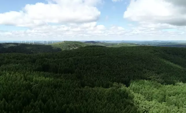 影片截圖 CGTN圖片