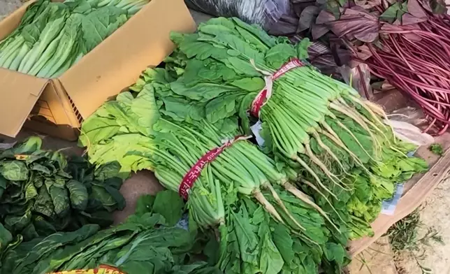 影片截圖 CGTN圖片