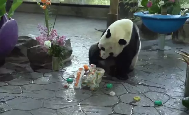 影片截圖 CGTN圖片