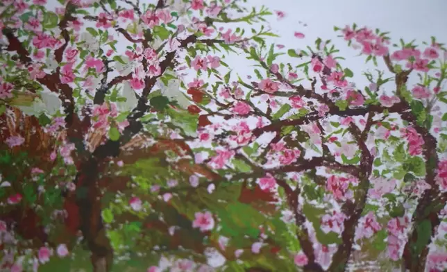 影片截圖 CGTN圖片