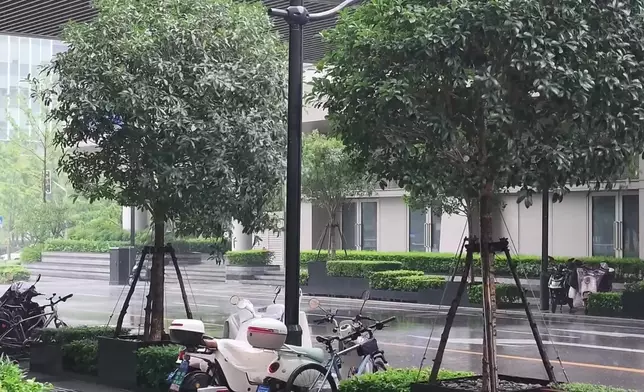 影片截圖 CGTN圖片