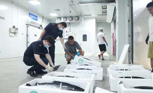 影片截圖 CGTN圖片