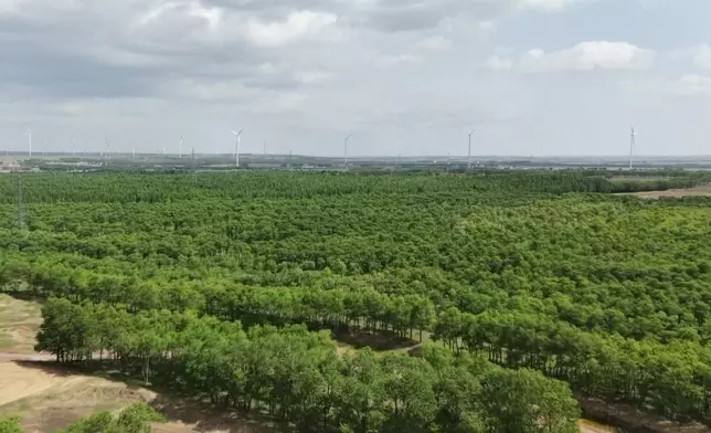 影片截圖 CGTN圖片
