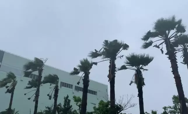 影片截圖 CGTN圖片