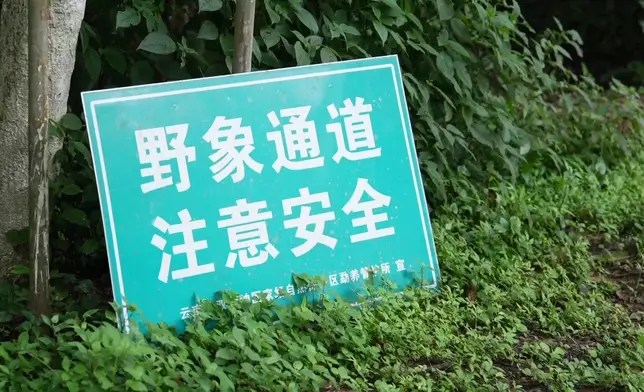影片截圖 CGTN圖片