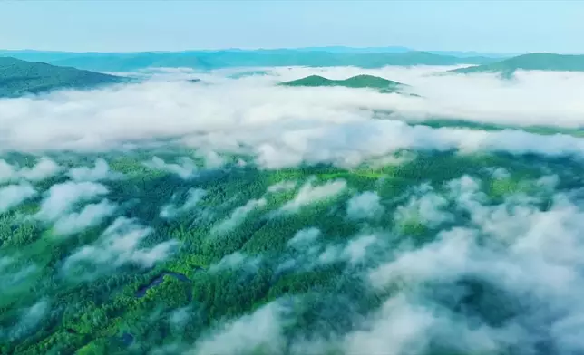 影片截圖 CGTN圖片