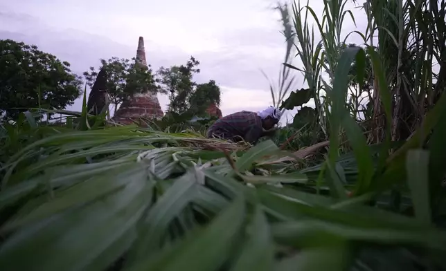 影片截圖 CGTN圖片