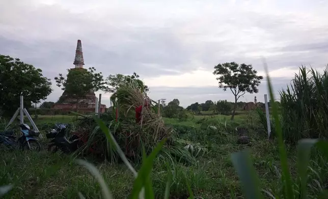 影片截圖 CGTN圖片