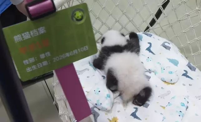 影片截圖 CGTN圖片