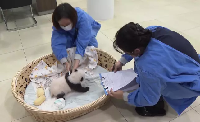 影片截圖 CGTN圖片