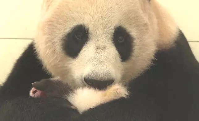 影片截圖 CGTN圖片