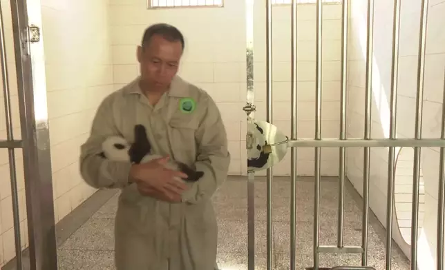 影片截圖 CGTN圖片